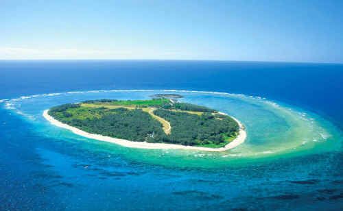 This is Lady Elliot Island, where five jobs are up for grabs. This is Lady Elliot Island, where five jobs are up for grabs.